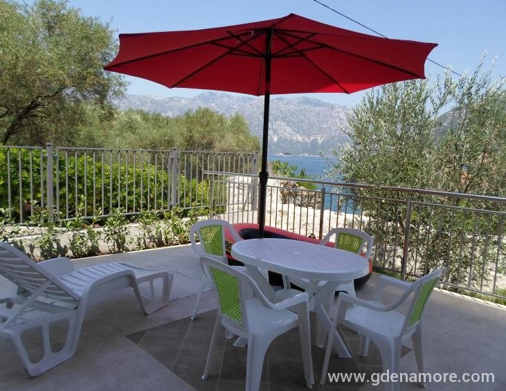 Jednosoban apartman sa terasom (terasa)